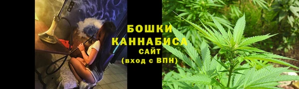 стафф Фёдоровский