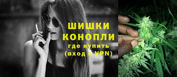 стафф Фёдоровский