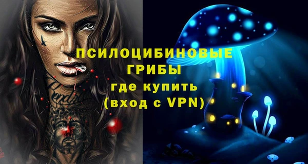 ALPHA PVP Верея