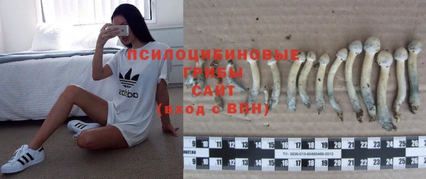 ALPHA PVP Верея